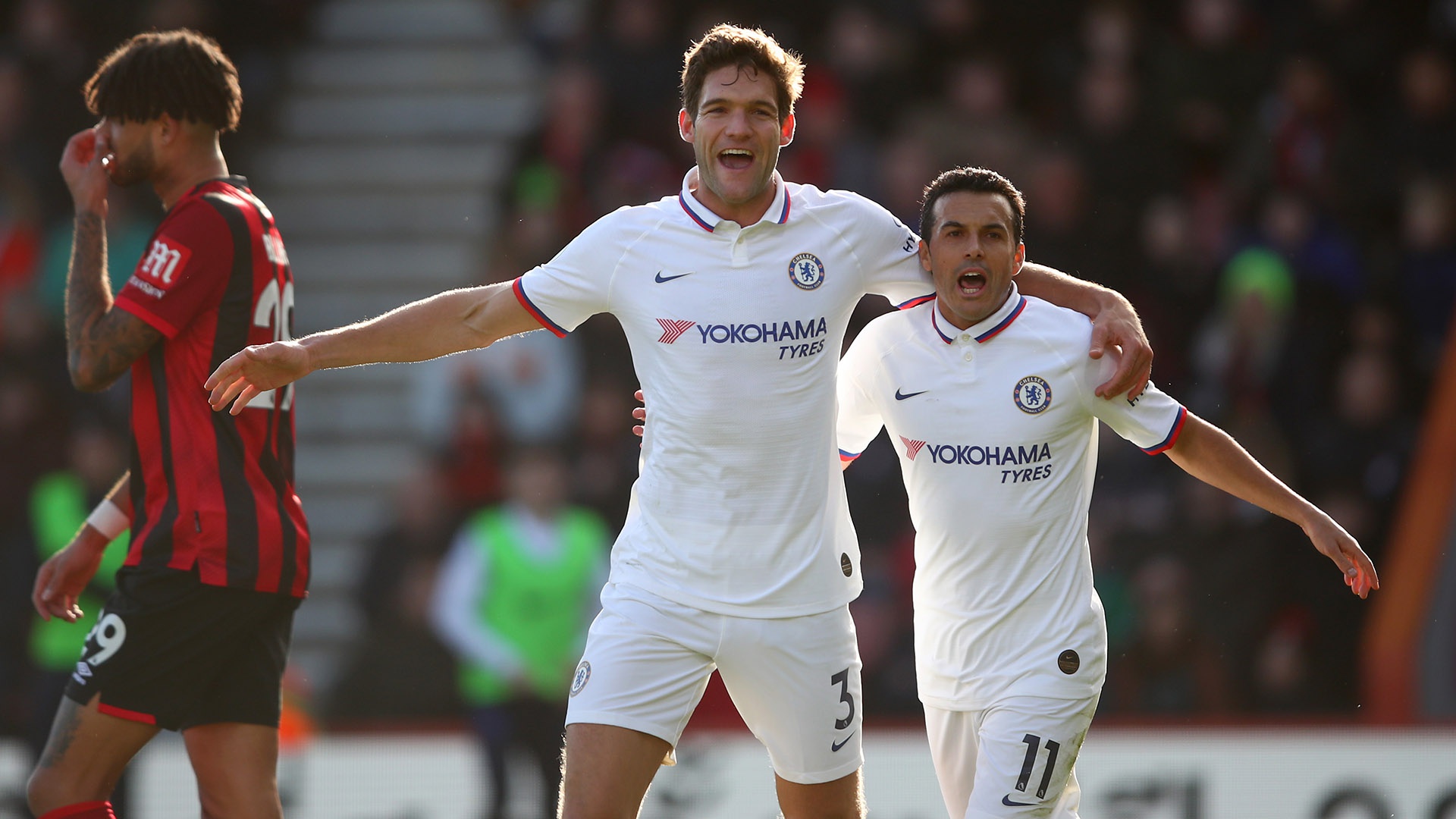 与大赛经验 与大赛经验